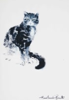 Mari Vermeulen-Breedt; Kieters (Kitters)