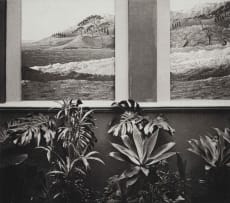 Nicole Clare Fraser; Untitled