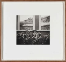 Nicole Clare Fraser; Untitled
