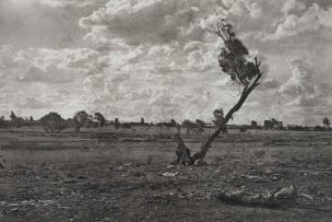 Tshepiso Mazibuko; Untitled