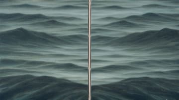Jake Aikman; Janus (Blistering Barnacles/Book I)
