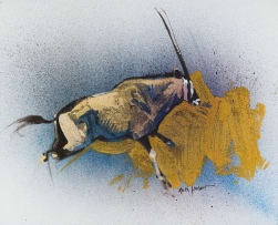 Keith Joubert; Gemsbok
