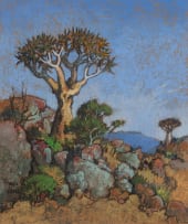 Conrad Theys; Namaqualand, Giant Quiver Tree (Reuse Kokerboom)