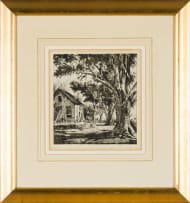 Tinus de Jongh; The Old Tree, Hout Bay