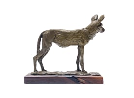 Arend Eloff; Wild Dog
