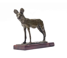 Arend Eloff; Wild Dog