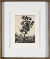 William Kentridge; Bushveld Tree