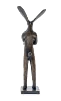 Guy du Toit; Standing Hare