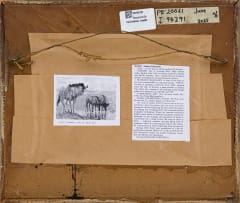 Zakkie Eloff; Zebra