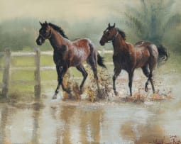Mari Vermeulen-Breedt; Lake Pehoé – Chasing Stars
