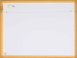 Esther Mahlangu; Untitled