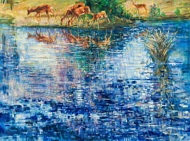 Zakkie Eloff; Impala Reflections