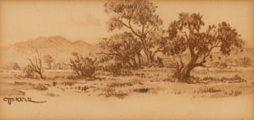 Otto Klar; Bushveld Landscape