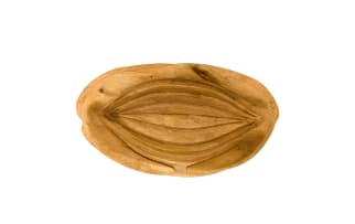 Geoffrey Armstrong; Seed Pod Form