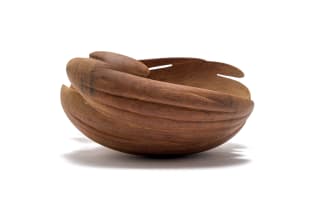 Geoffrey Armstrong; Organic Shell Form I