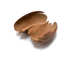 Geoffrey Armstrong; Organic Shell Form I