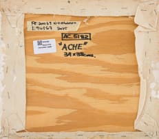 Wendy Vincent; Ache