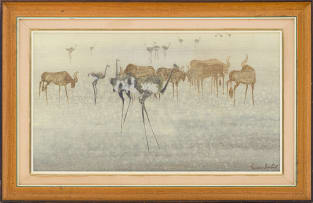 Gordon Vorster; Antelope and Ostriches