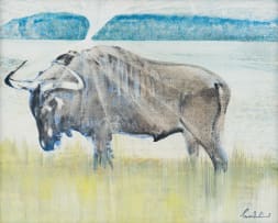 Gordon Vorster; Wildebeest