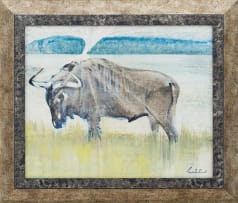 Gordon Vorster; Wildebeest