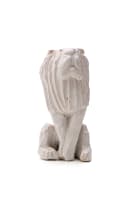 Hylton Nel; White lion