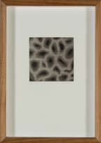 Wendy Vincent; Untitled VII