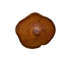 Geoffrey Armstrong; Organic Circular Clam Form