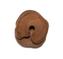 Geoffrey Armstrong; Organic Circular Clam Form