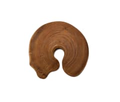 Geoffrey Armstrong; Organic Circular Clam Form