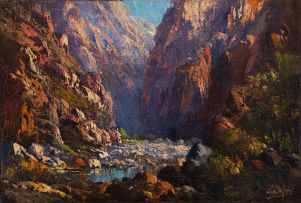 Tinus de Jongh; Gorge