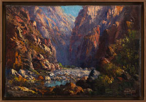 Tinus de Jongh; Gorge