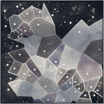 Karel Nel; Galactic Gestalts