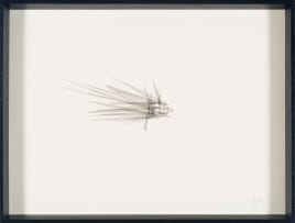 Wim Botha; Thousand Things, Part 28