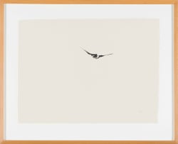 Wim Botha; Thousand Things, Part 146