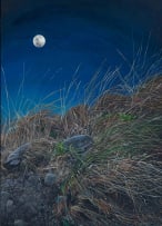 Deborah Poynton; Moon