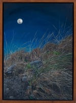 Deborah Poynton; Moon