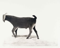 Sam Nhlengethwa; Grazing II