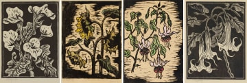 Gregoire Boonzaier; Lilies; Sunflowers; Fuchsia; Moonflowers, four