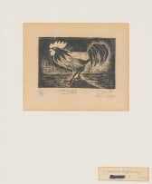 Peter Clarke; Cockerel