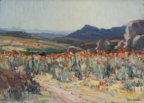 Hugo Naudé; Namaqualand Flowers