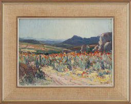 Hugo Naudé; Namaqualand Flowers