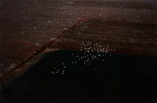 Herman Potgieter; Aerial View of a Flock of Birds over a Farm Landscape