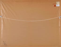 Herman Potgieter; Aerial View of a Flock of Birds over a Farm Landscape