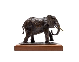 Laurence Anthony Chait; Elephant