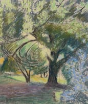 Leonora Everard-Haden; Sunlight and Trees