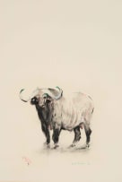 William Kentridge; Untitled (Buffalo and Egret)