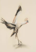 William Kentridge; Untitled (Grey Crowned Crane)