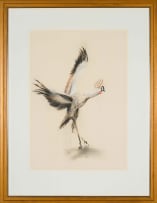 William Kentridge; Untitled (Grey Crowned Crane)