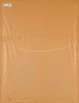 William Kentridge; Untitled (Grey Crowned Crane)