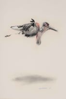 William Kentridge; Untitled (Maribou Stork)